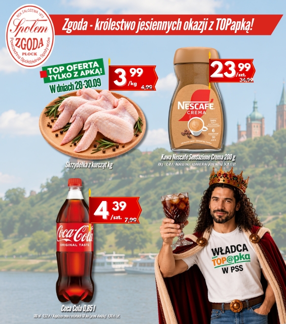 strona pion (15)